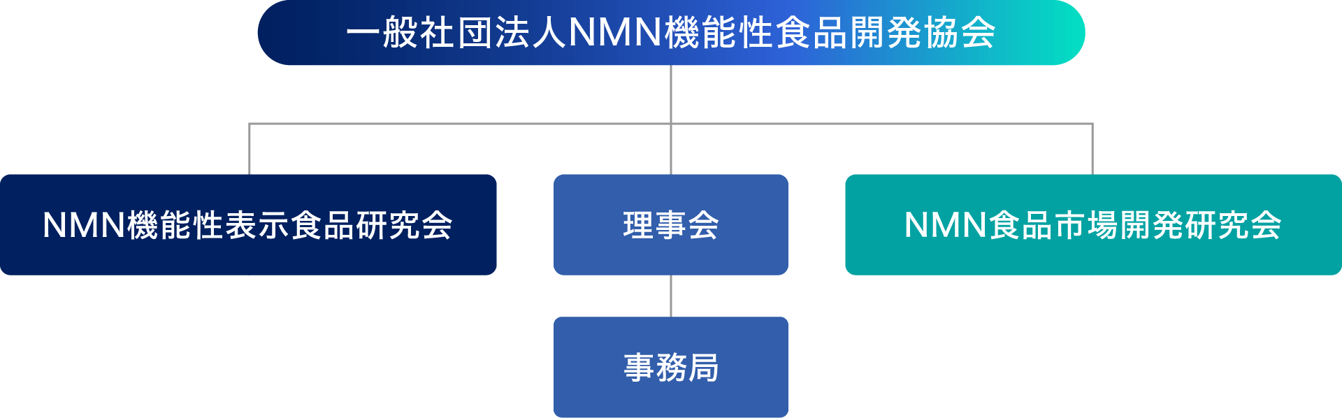 組織概要